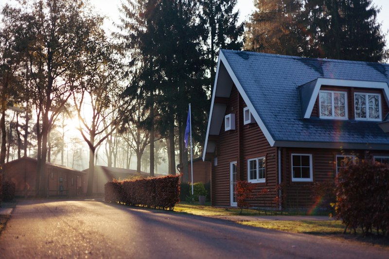 Tree-lined residential street